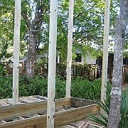 Picture 010